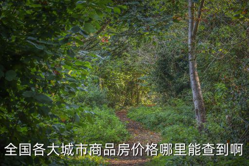 全國各大城市商品房價格哪里能查到啊