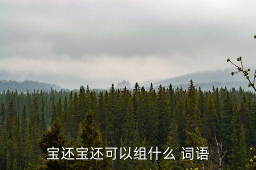寶還寶還可以組什么 詞語