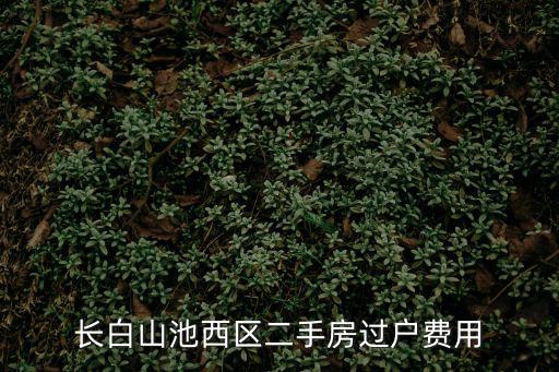 長白山池西區二手房過戶費用