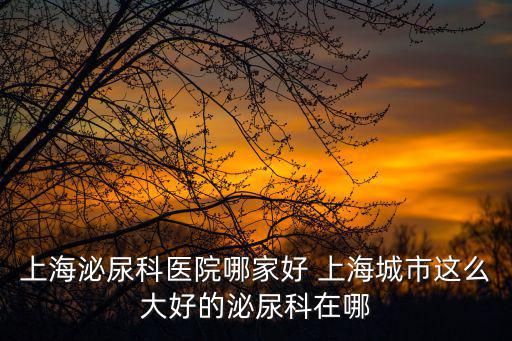 上海市梅哲履新，上海泌尿科醫(yī)院哪家好 上海城市這么大好的泌尿科在哪