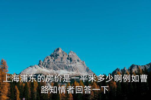 上海浦東的房價是一平米多少啊例如曹路知情者回答一下