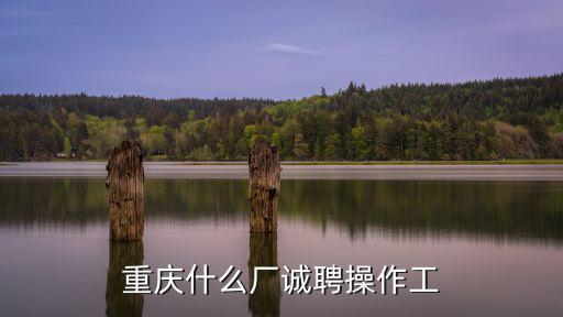 重慶什么廠誠聘操作工