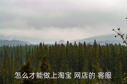 怎么才能做上淘寶 網(wǎng)店的 客服