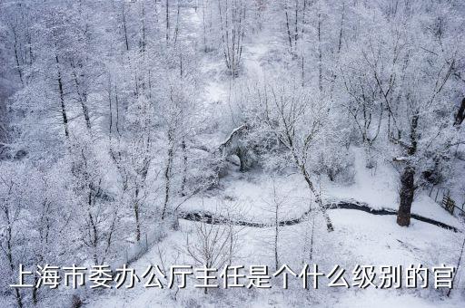 上海市政府委辦局領(lǐng)導(dǎo)班子，上海市委組織部科教干部處處長(zhǎng)是誰(shuí)