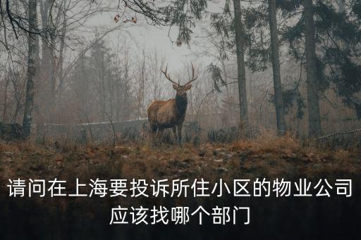 請問在上海要投訴所住小區的物業公司應該找哪個部門