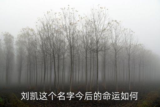 急診科醫生劉苗劉凱結局，劉凱這個名字今后的命運如何