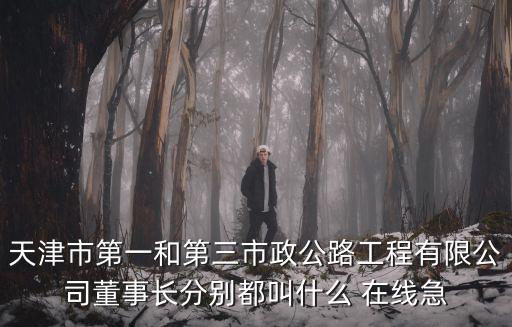 天津市第一和第三市政公路工程有限公司董事長分別都叫什么 在線急