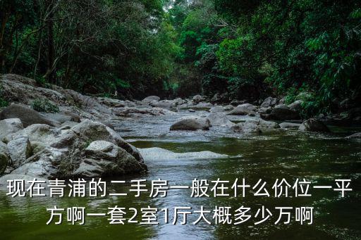 青浦金澤二手房，現在青浦的二手房一般在什么價位一平方啊一套2室1廳大概多少萬啊