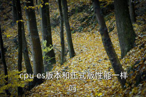 es版cpu,es版是最接近甚至是正式版的es版
