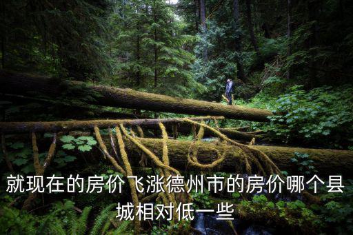 就現在的房價飛漲德州市的房價哪個縣城相對低一些