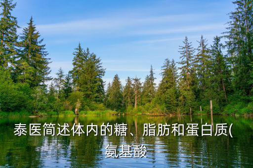 泰醫簡述體內的糖、脂肪和蛋白質( 氨基酸