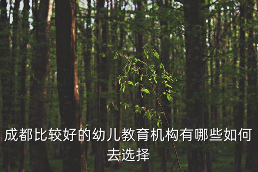 成都比較好的幼兒教育機構有哪些如何去選擇