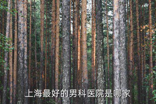 上海最好的男科醫院是哪家