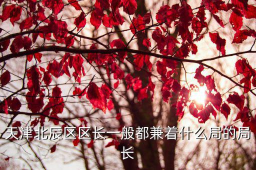 天津北辰區區長一般都兼著什么局的局長