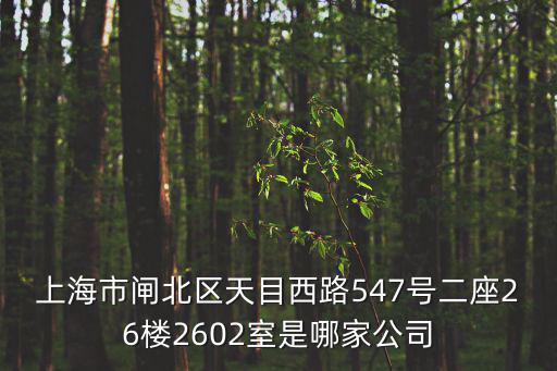 上海市泰德苑，上海市閘北區天目西路547號二座26樓2602室是哪家公司