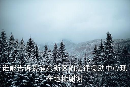 誰能告訴我浦東新區(qū)的法律援助中心現(xiàn)在地址謝謝