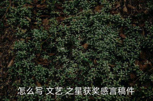 文藝之星,本地10個明星推薦她們當中包括14名年度最佳新星