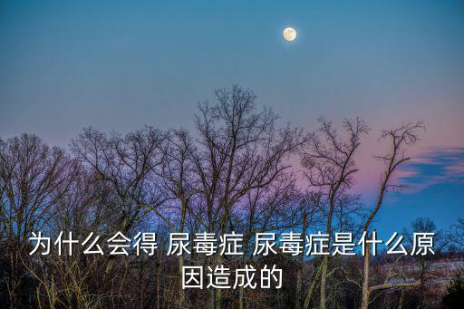 尿毒癥的原因,糖尿病并發(fā)尿毒癥病例很多了解病因才能預防該病