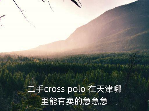 二手cross polo 在天津哪里能有賣的急急急