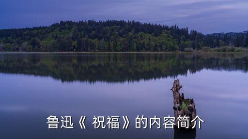 魯迅《祝福》,魯迅短篇小說《流浪》第一部