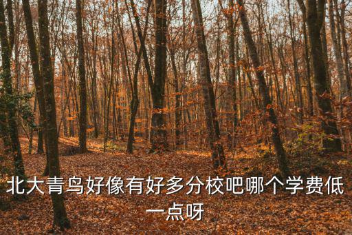 北大青鳥好像有好多分校吧哪個學費低一點呀