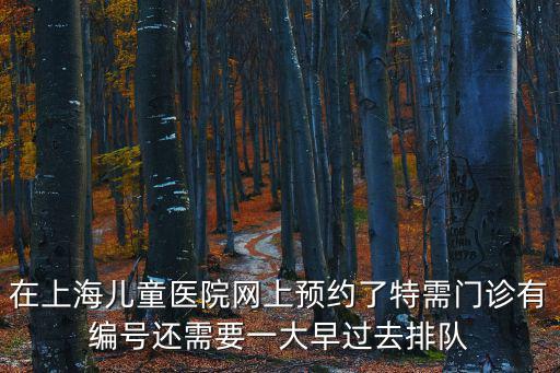 在上海兒童醫(yī)院網(wǎng)上預(yù)約了特需門診有編號還需要一大早過去排隊