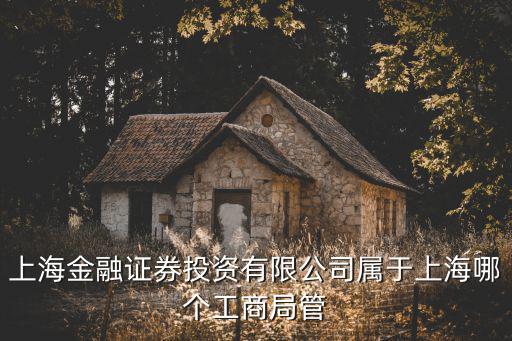 2019年上海市金融運行報告，上海市城區面積