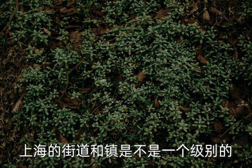 上海的街道和鎮是不是一個級別的
