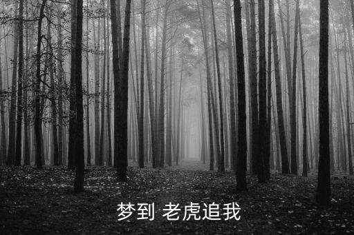  夢到 老虎追我