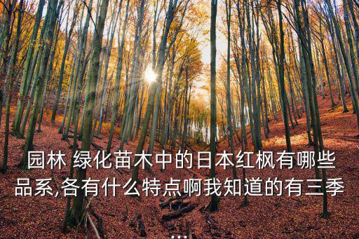  園林 綠化苗木中的日本紅楓有哪些品系,各有什么特點啊我知道的有三季...