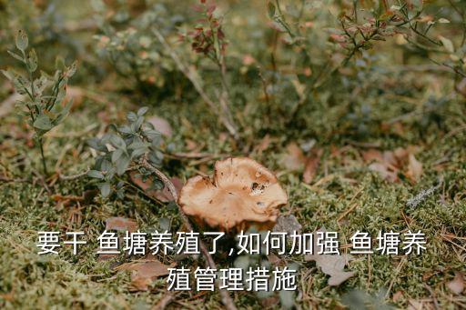 要干 魚塘養(yǎng)殖了,如何加強 魚塘養(yǎng)殖管理措施