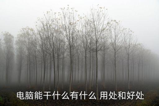  電腦能干什么有什么 用處和好處
