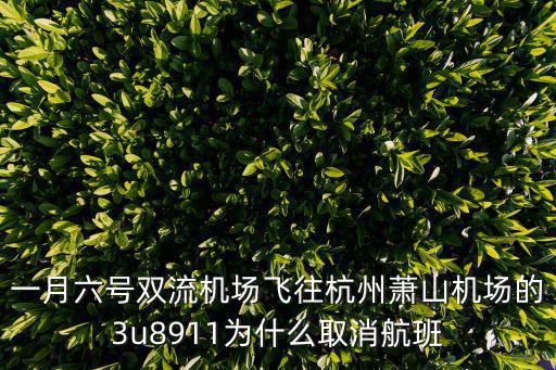 深圳廣州飛杭州航班取消為什么，當天的深圳航空zh9905是否取消航班了