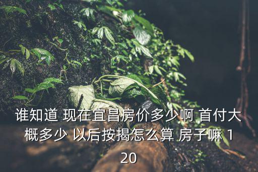 誰知道 現(xiàn)在宜昌房價多少啊 首付大概多少 以后按揭怎么算 房子嘛 120