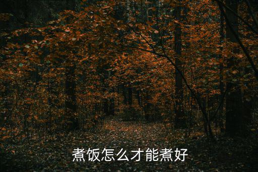 煮飯怎么煮好吃,如何煮飯和蒸米飯?