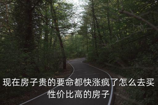 現在房子貴的要命都快漲瘋了怎么去買性價比高的房子