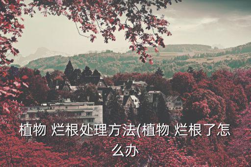 爛根最好的處理方法,怎么處理爛根?