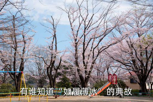 小旻,如臨深淵如履薄冰如何練習、分享、解讀