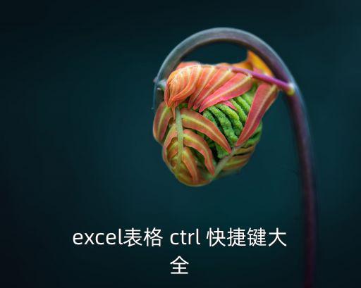 excel表格 ctrl 快捷鍵大全