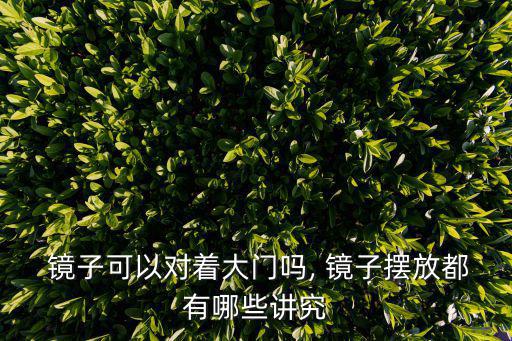 鏡子能對著門嗎,廁所裝修風(fēng)水禁忌（十）