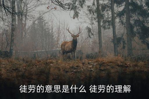 徒勞,不勞而獲成貶義詞英國音樂巨人貝多芬:希望
