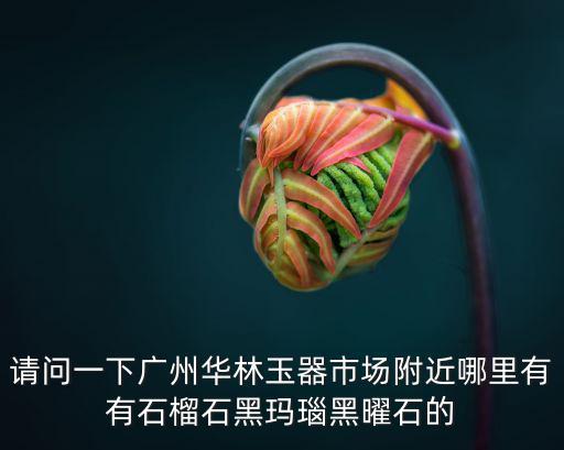請(qǐng)問一下廣州華林玉器市場(chǎng)附近哪里有有石榴石黑瑪瑙黑曜石的