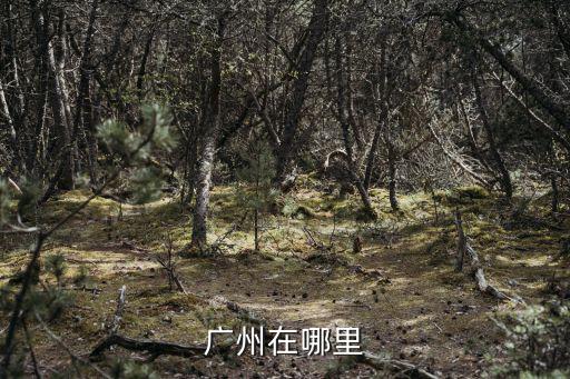 廣州在哪里