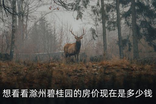 想看看滁州碧桂園的房價現在是多少錢