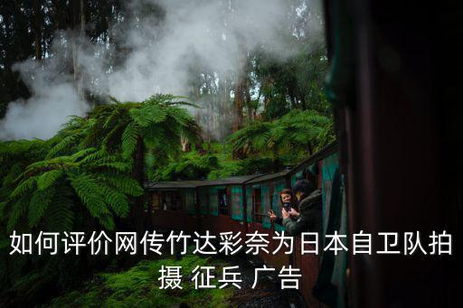 如何評價網傳竹達彩奈為日本自衛隊拍攝 征兵 廣告