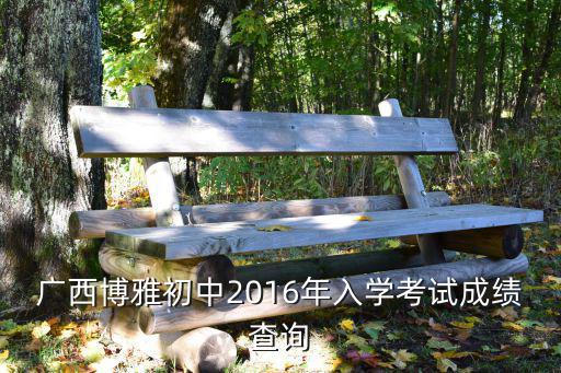 廣西博雅初中2016年入學考試成績查詢