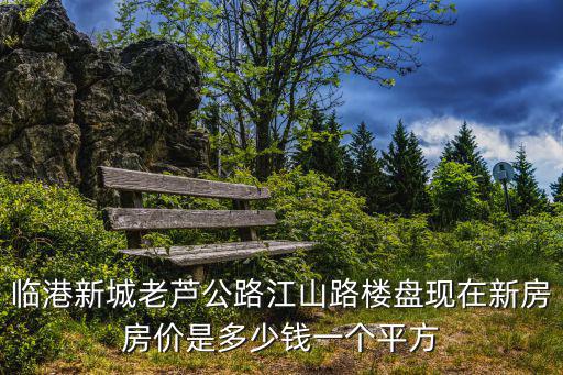 臨港新城老蘆公路江山路樓盤現在新房房價是多少錢一個平方