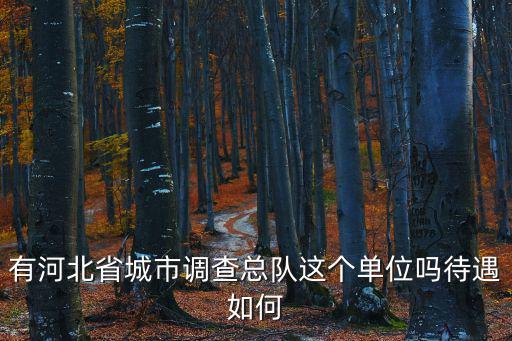 有河北省城市調查總隊這個單位嗎待遇如何