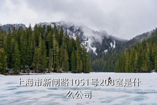 上海市新閘路1051號208室是什么公司