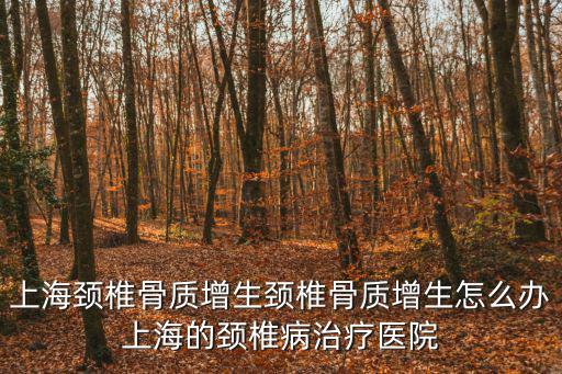 上海長(zhǎng)寧簡(jiǎn)介，上海頸椎骨質(zhì)增生頸椎骨質(zhì)增生怎么辦上海的頸椎病治療醫(yī)院